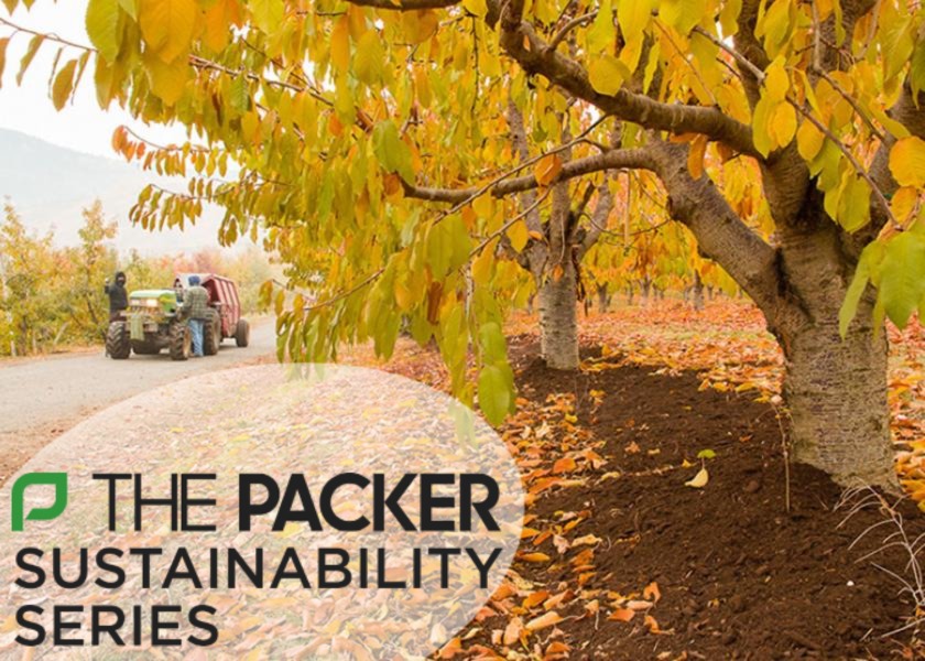 Growers keep their eye on the ball, pioneering conservation solutions